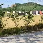 利记官网-雷丁茅村克隆情谢巴，贝期走一头
